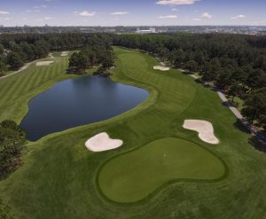 myrtlewood palmetto hole 9